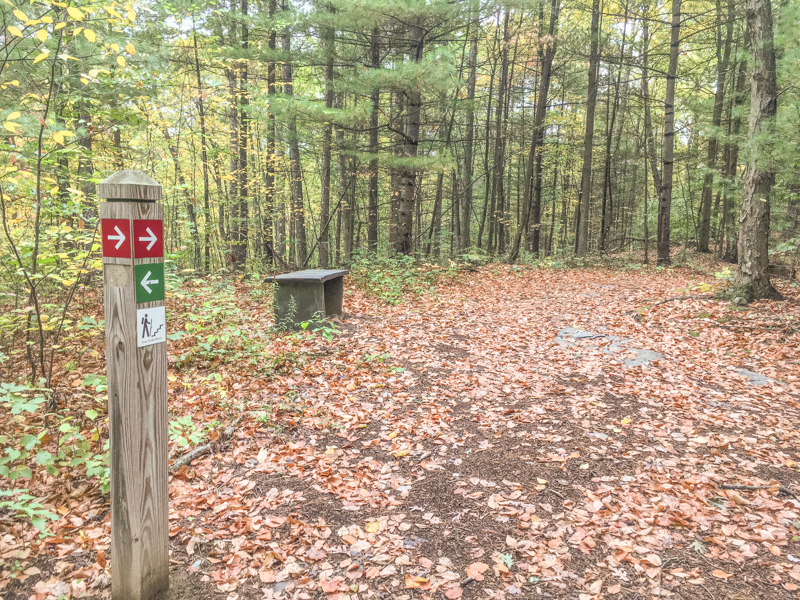 Trail intersection