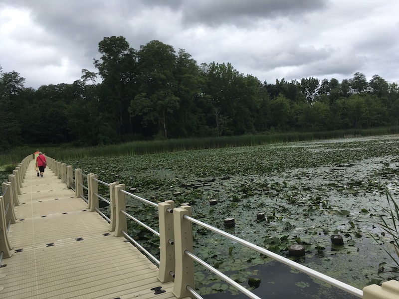 New bridge over the pond