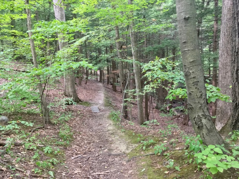 Ashford Glen Trail