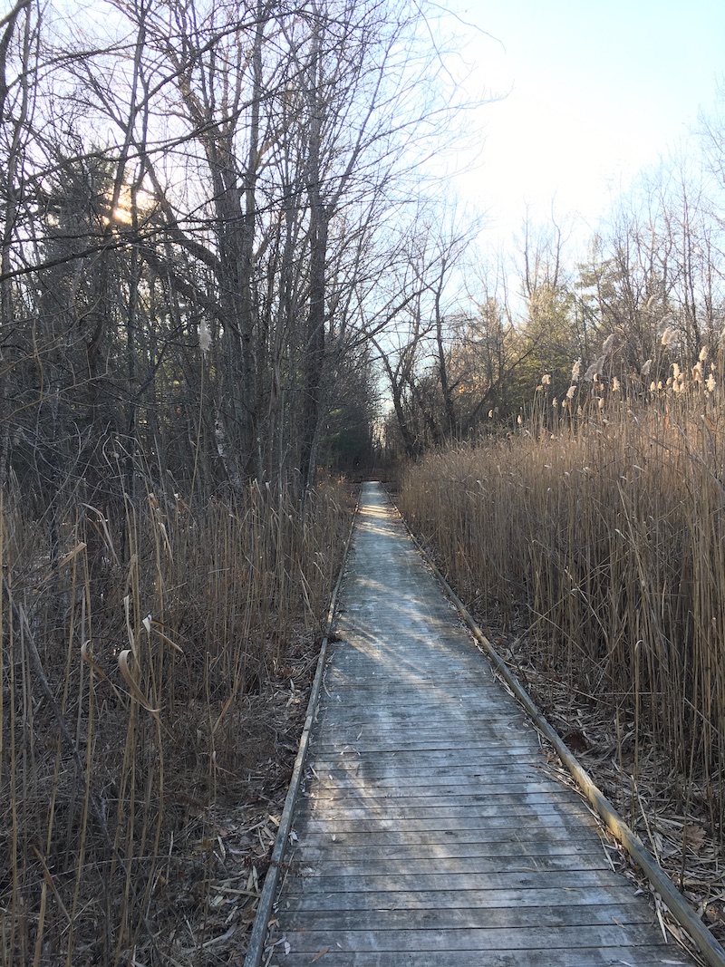 Boardwalk