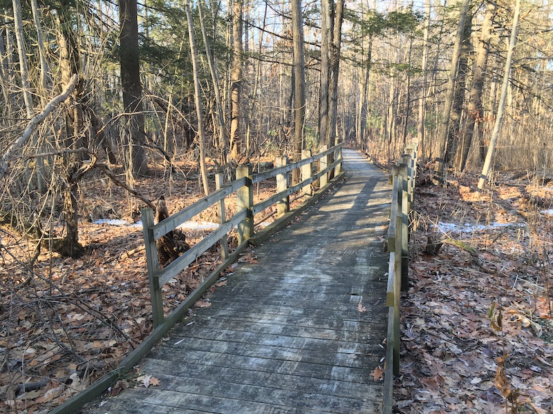 Bridge over stream