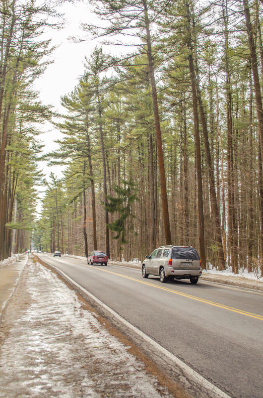 Saratoga Spa State Park