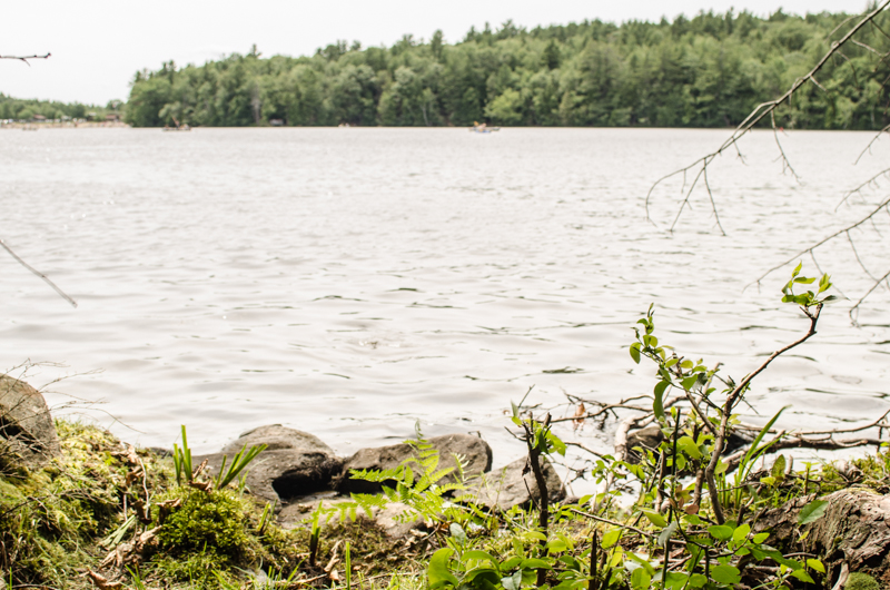 Pond at Grafton Lakes State Park