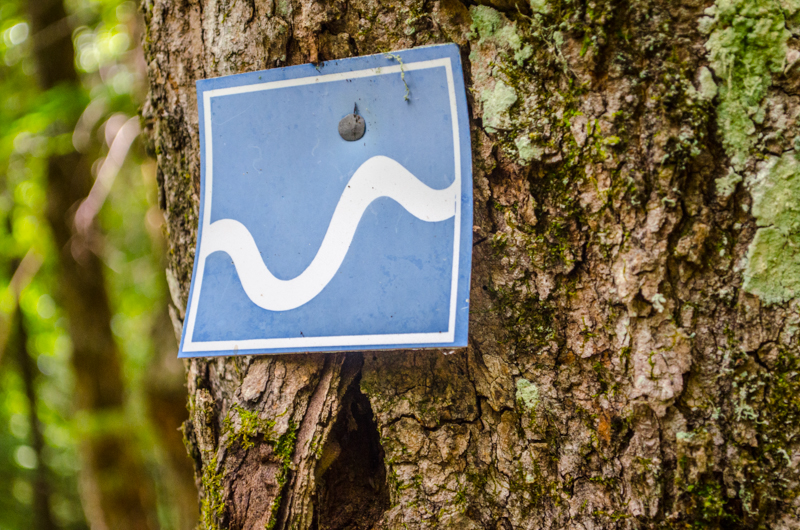 Trail sign