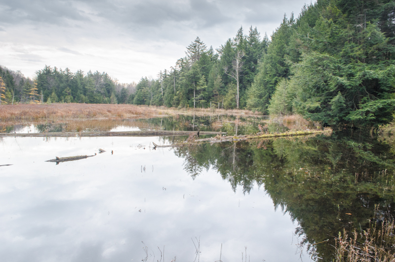 Inman Pond