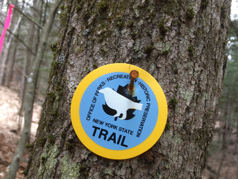 Trail marker