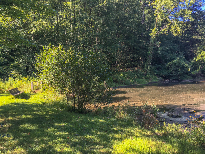 North Woods Nature Preserve