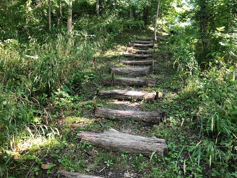 Stairs on trail
