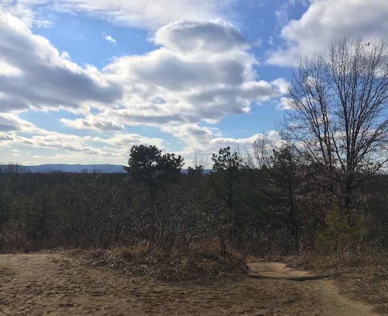 View of Helderbergs from Pine Bush Preserve