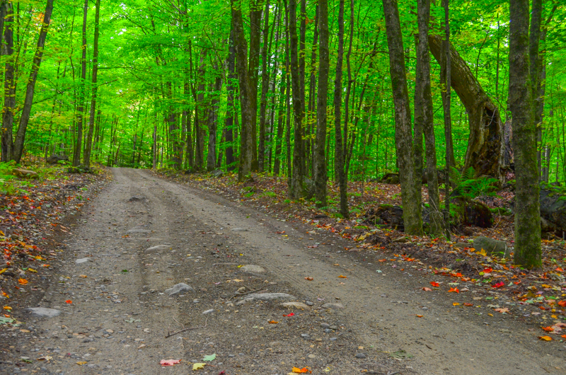 Dacy Clearing Road