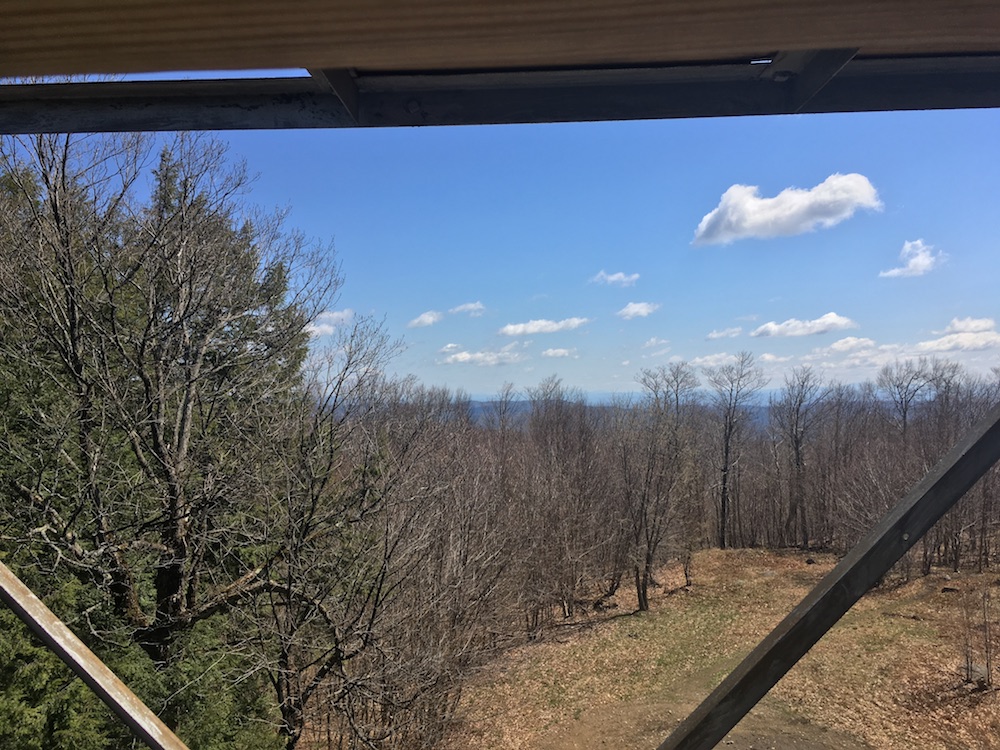 View from Spruce Mountain Fire Tower