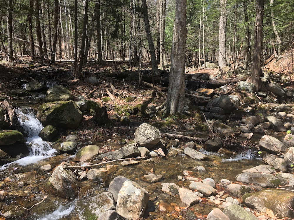 Mountain stream