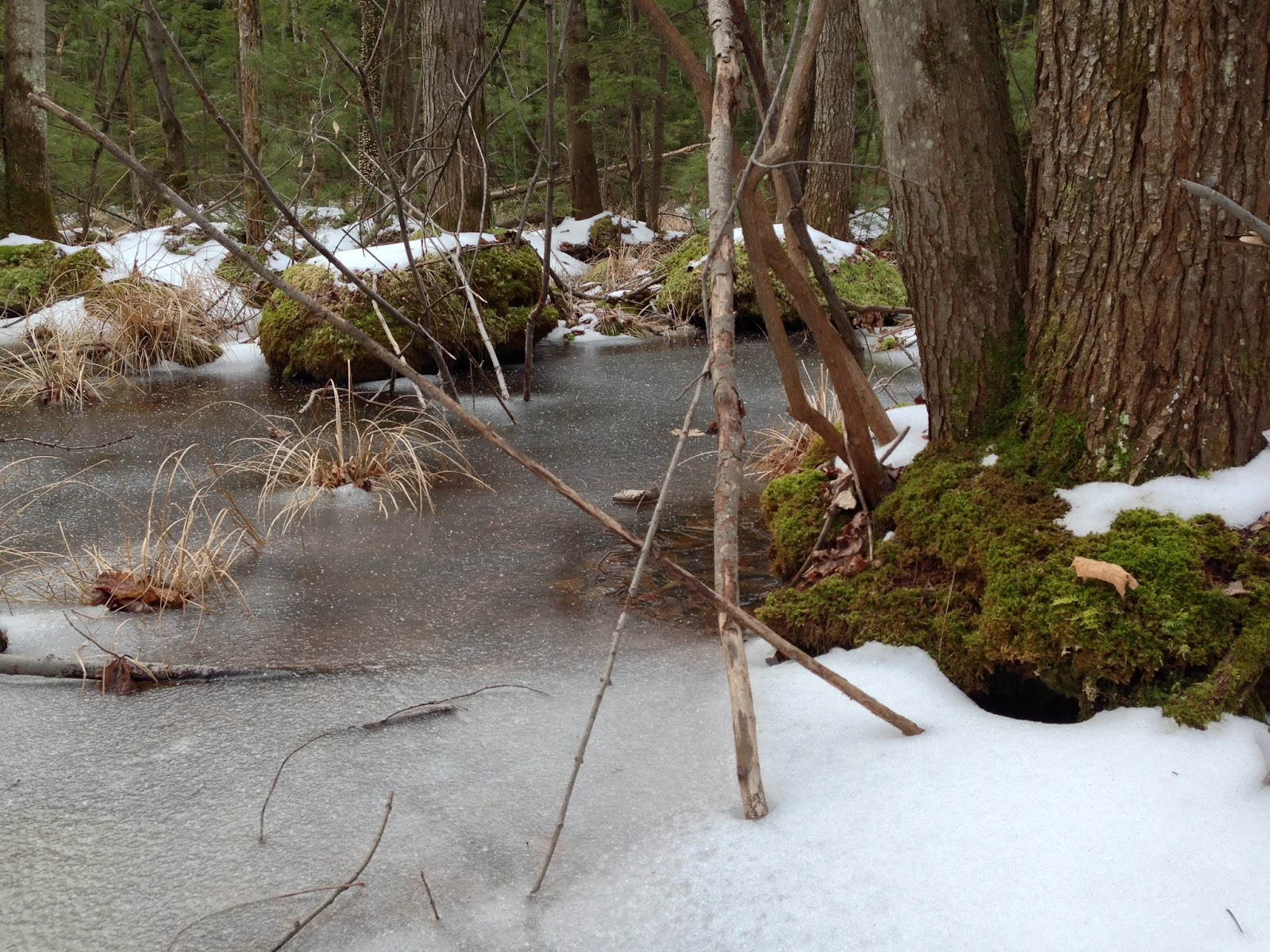 Icy pond