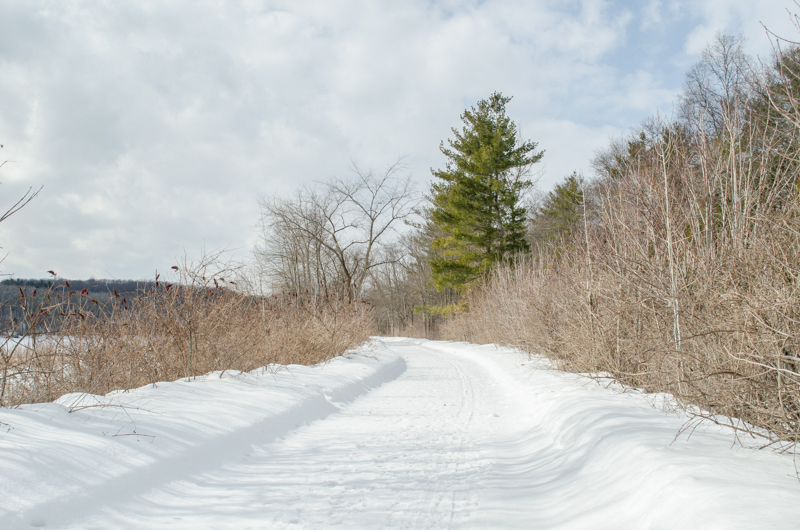 Vischer Ferry Nature Preserve