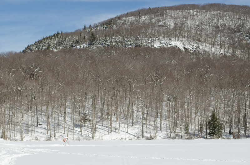 Mountain covered in snow