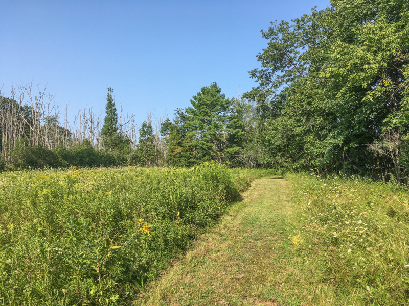 Woodcock Preserve