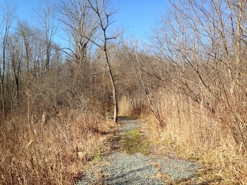 Trail leading into preserve