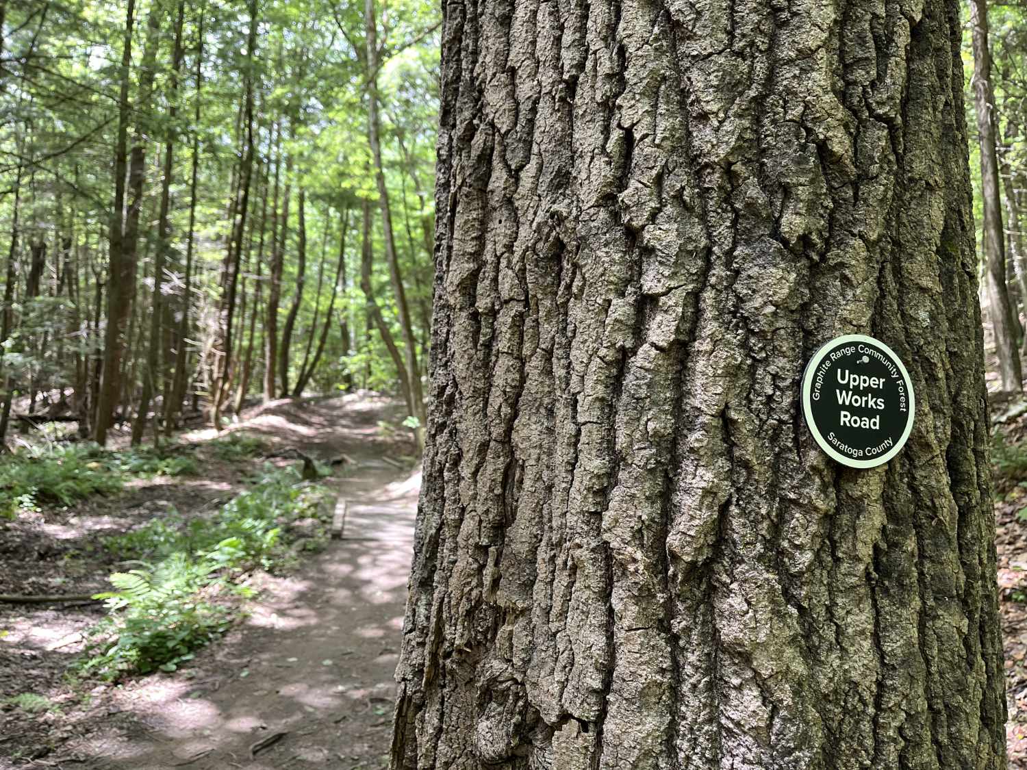 Upper Works Road Trail Marker