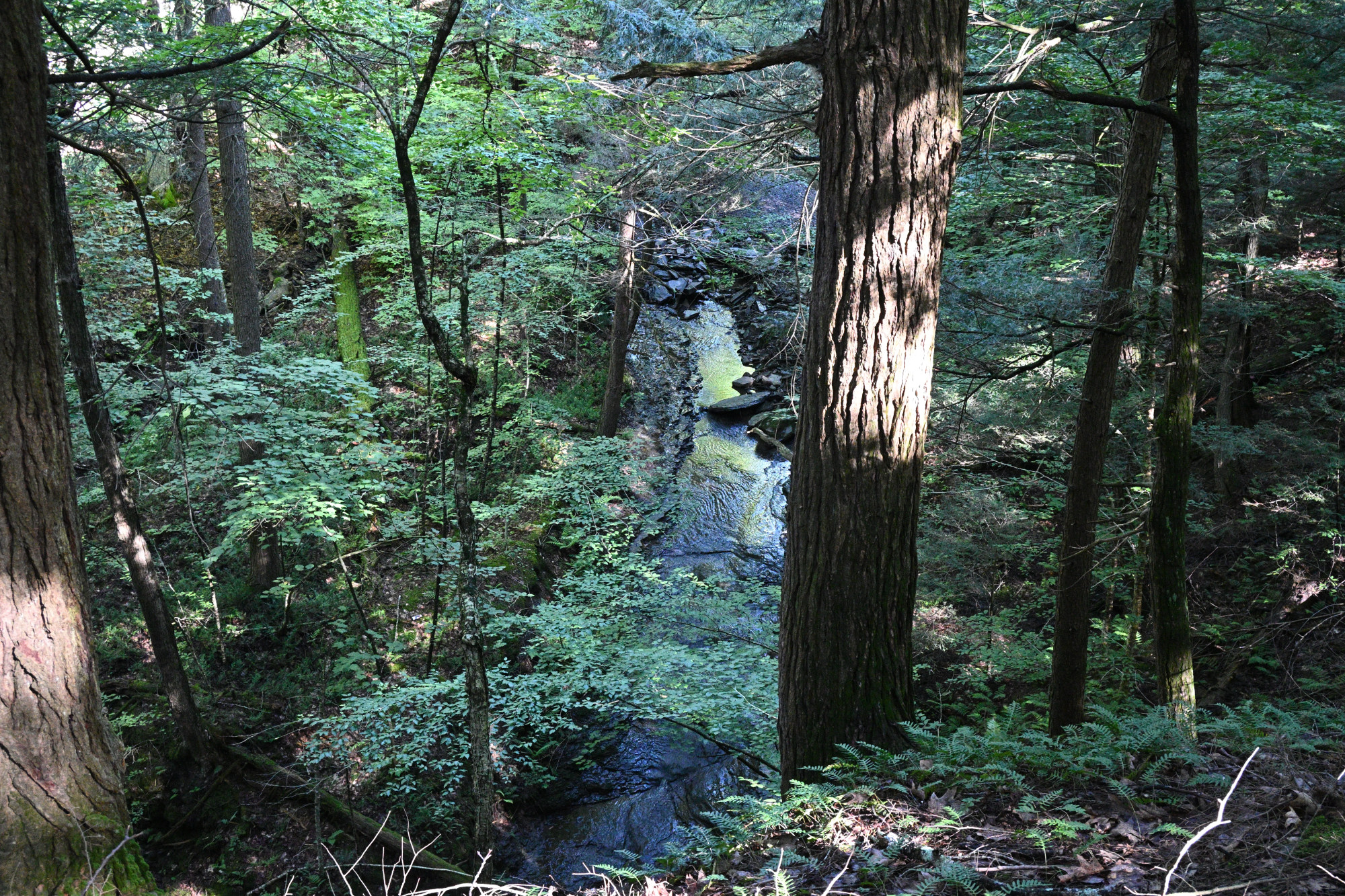 View down to creek