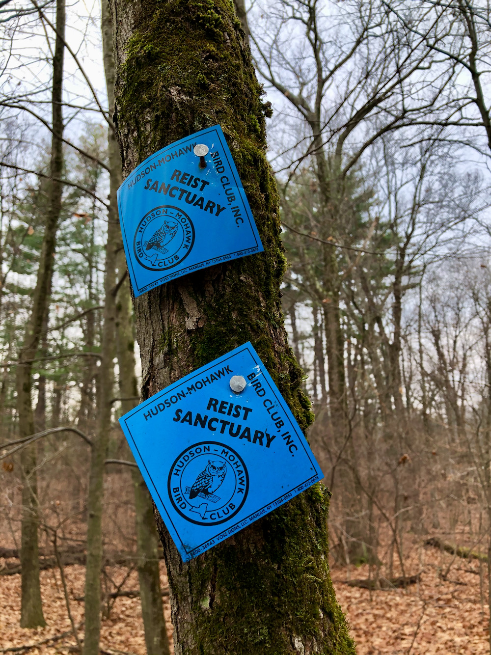 Trail Markers