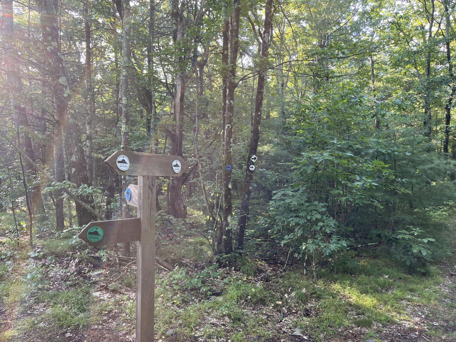 Signposts