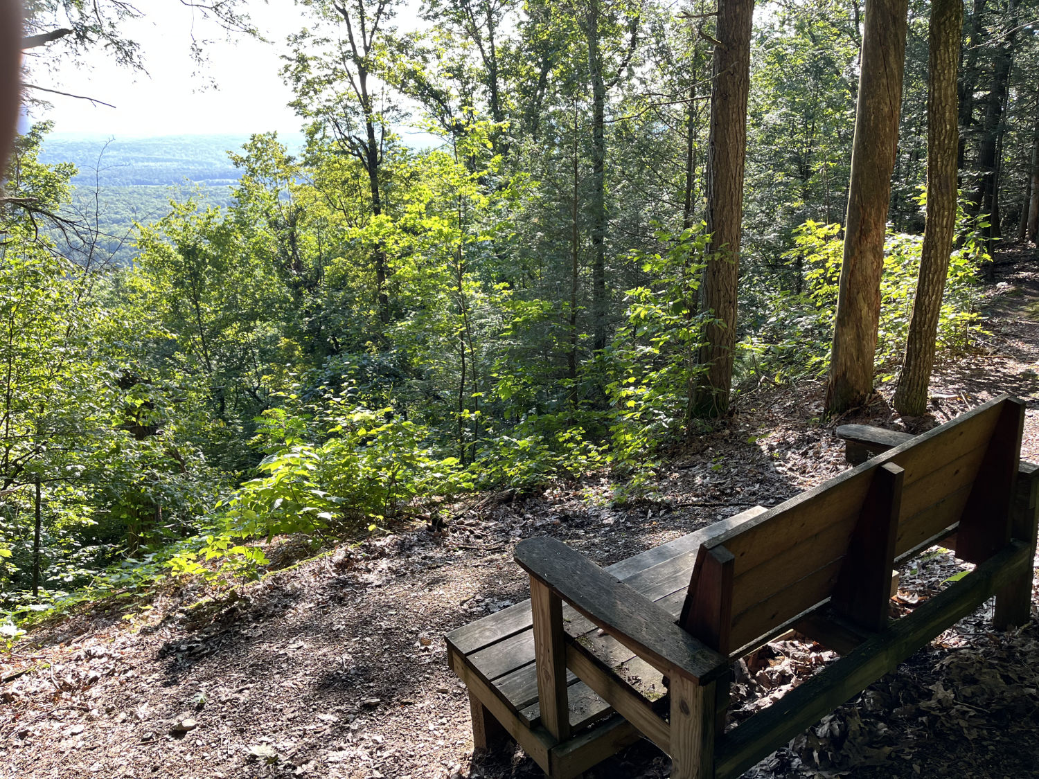 Bench at overlook
