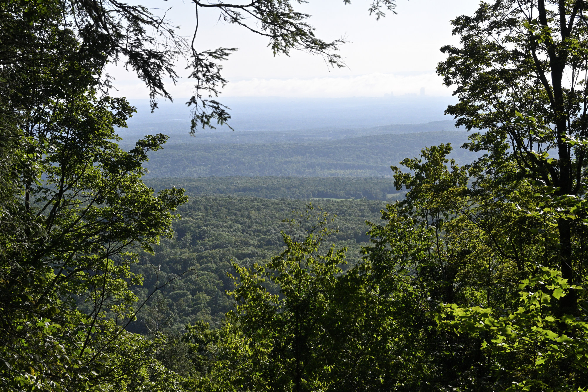 Helderberg overlook
