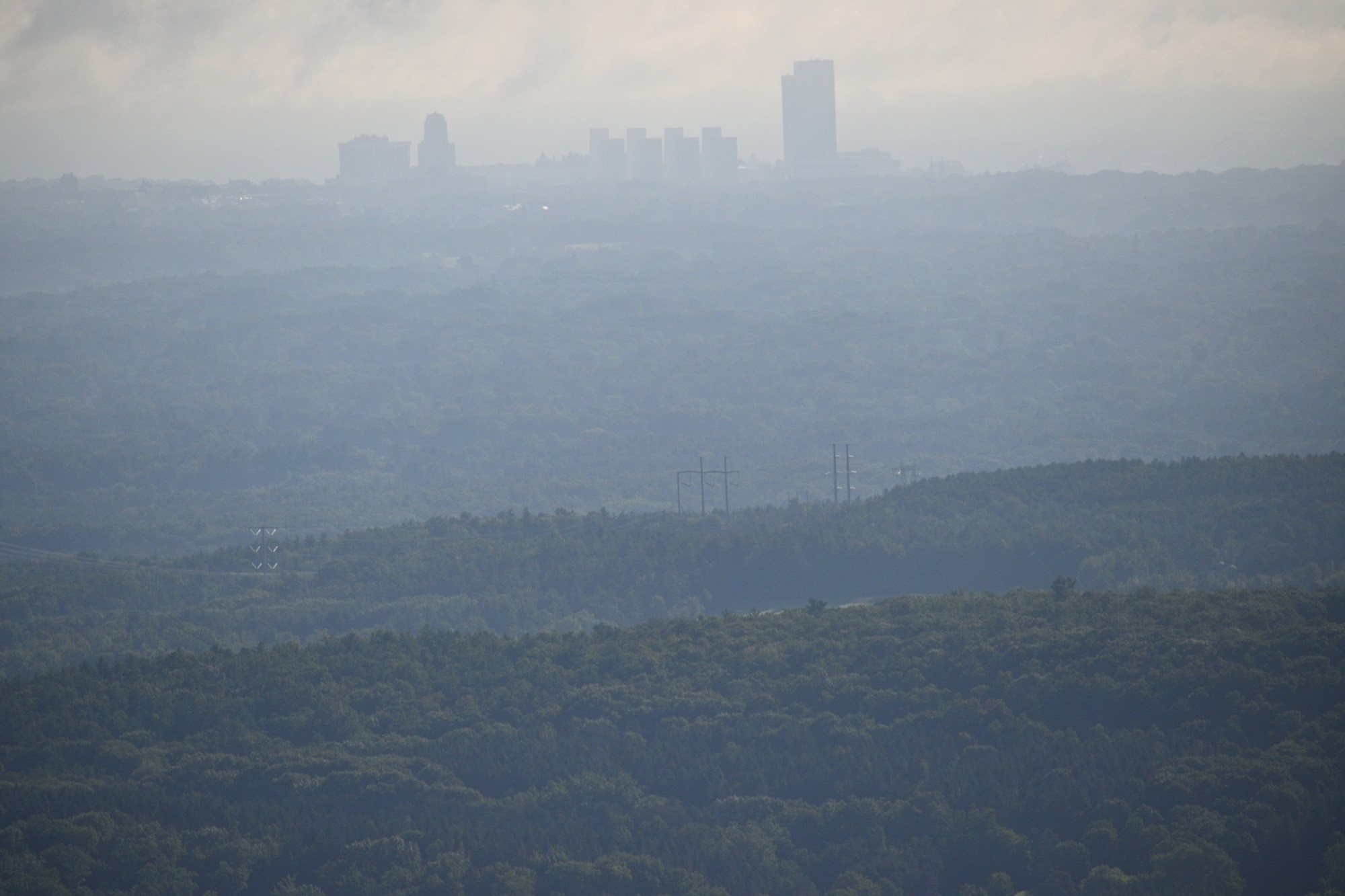 Albany state buildings from a distance