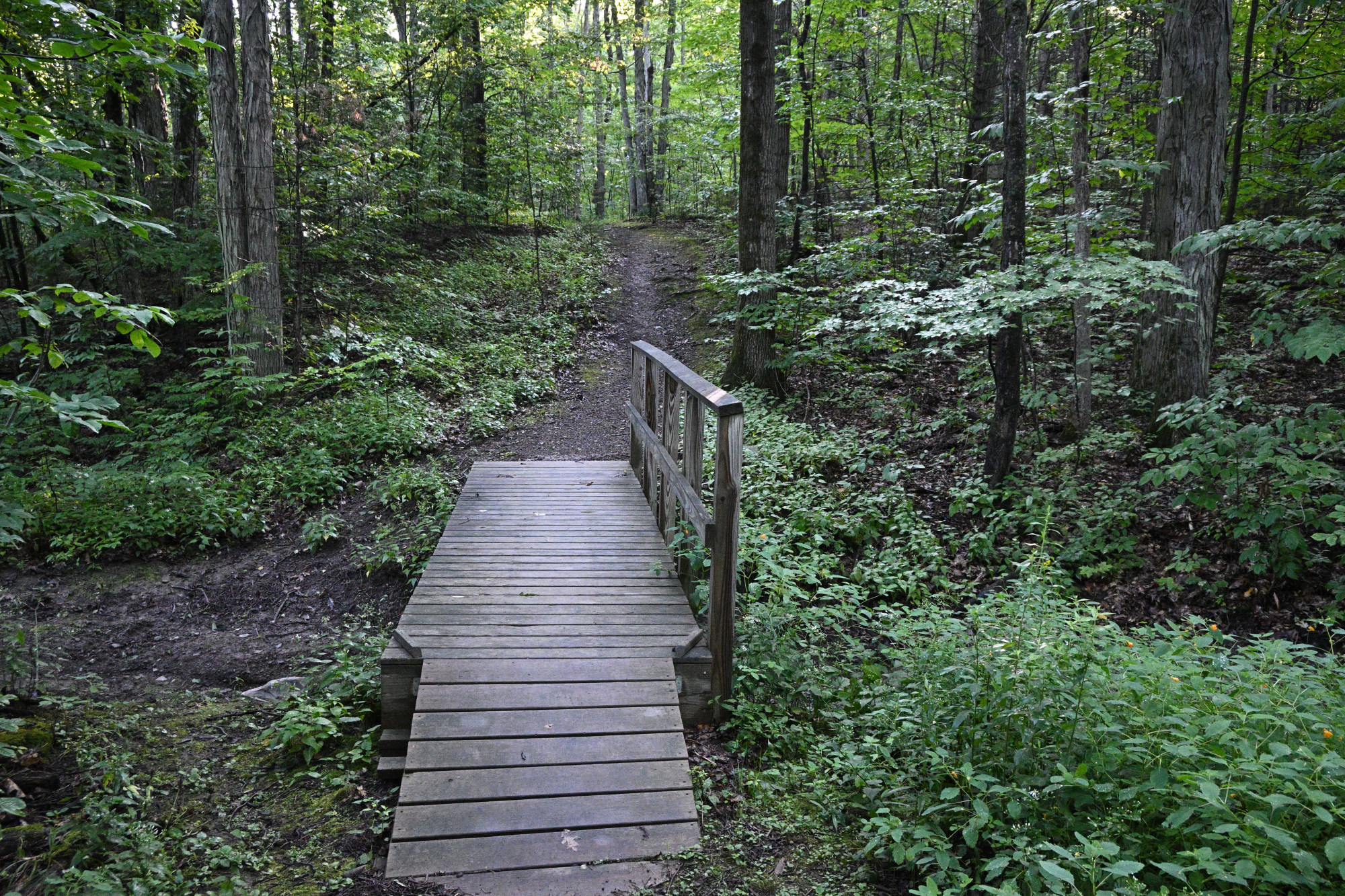 Wooden bridge