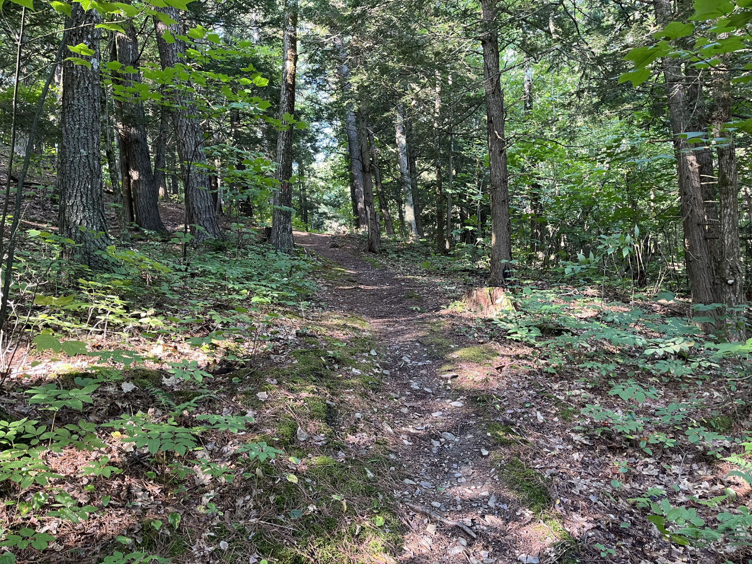 Uphill trail