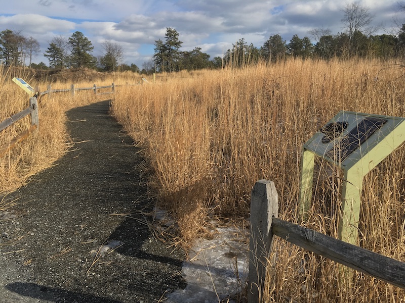 Nature Trail