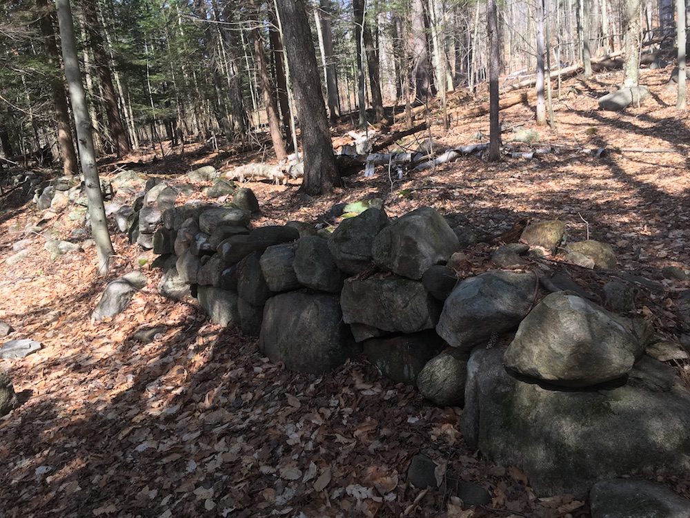 Old stone wall in woods