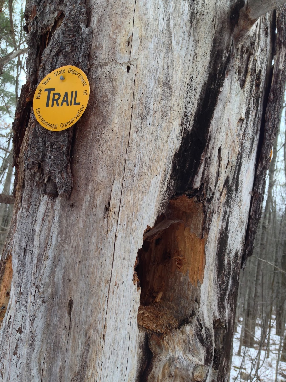 DEC trail marker