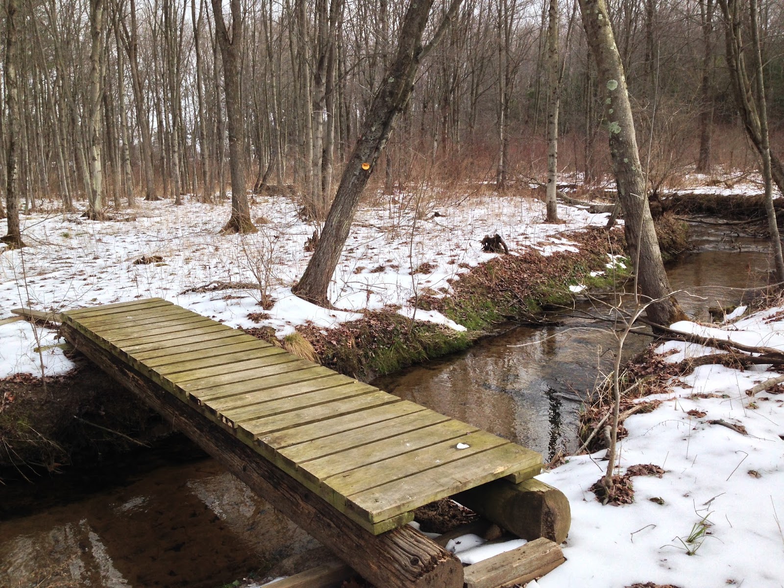 Wooden footbridge over creek