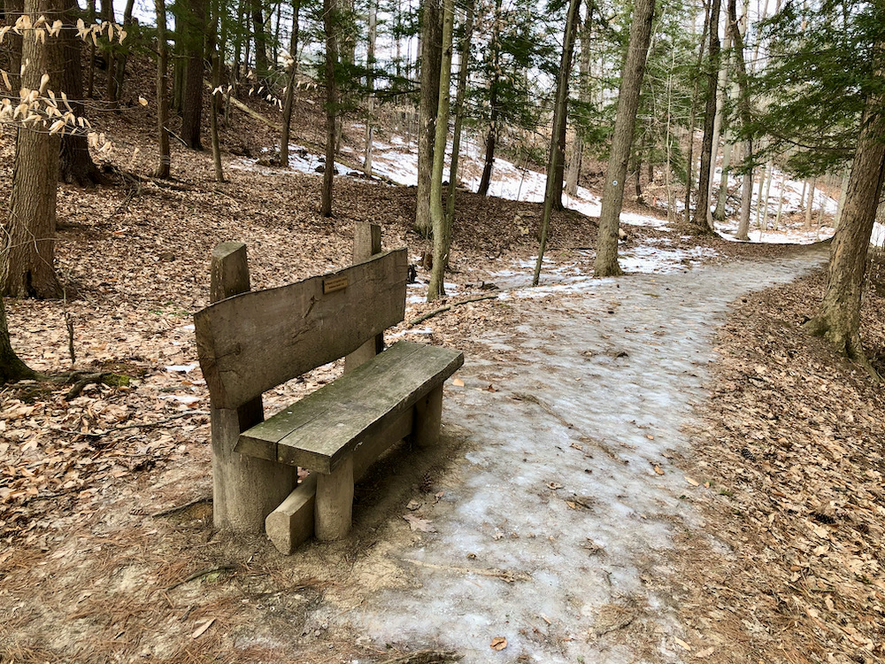Bench beside trail